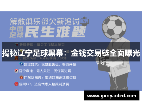 揭秘辽宁足球黑幕：金钱交易链全面曝光