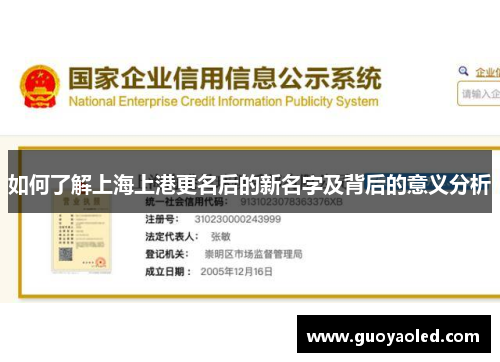如何了解上海上港更名后的新名字及背后的意义分析