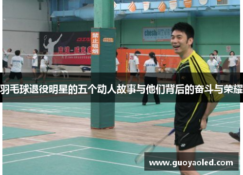 羽毛球退役明星的五个动人故事与他们背后的奋斗与荣耀