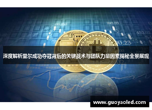 深度解析里尔成功夺冠背后的关键战术与团队力量因素揭秘全景展现 深度解析里尔成功夺冠背后的关键战术与团队力量因素揭秘全景展现