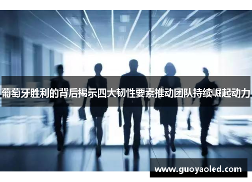 葡萄牙胜利的背后揭示四大韧性要素推动团队持续崛起动力